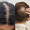 Image to render