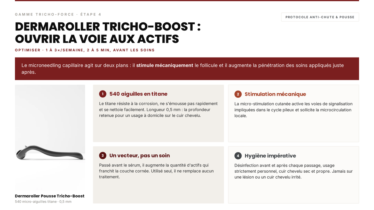 Avis