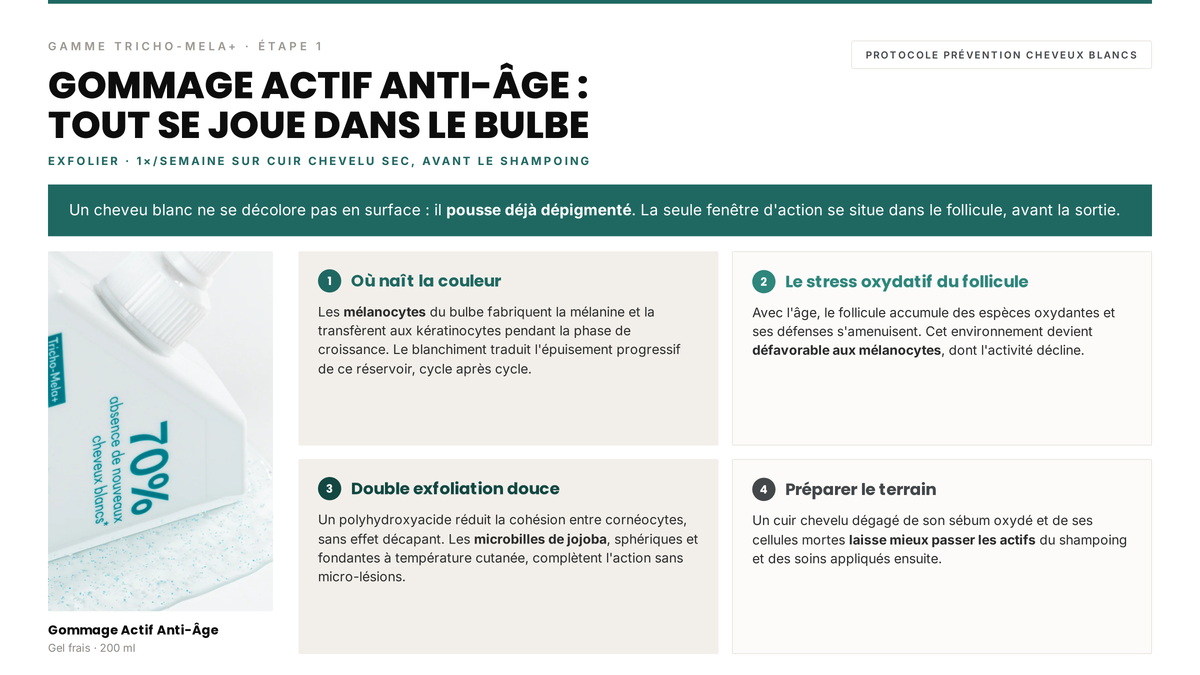 Avis