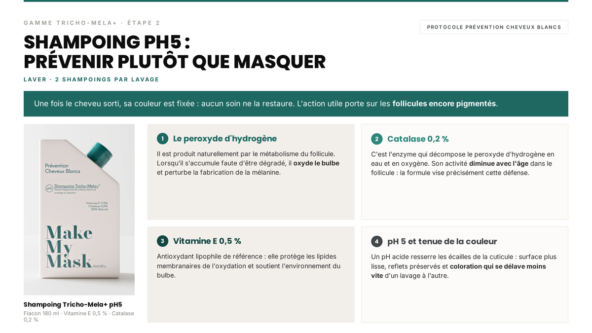 Avis