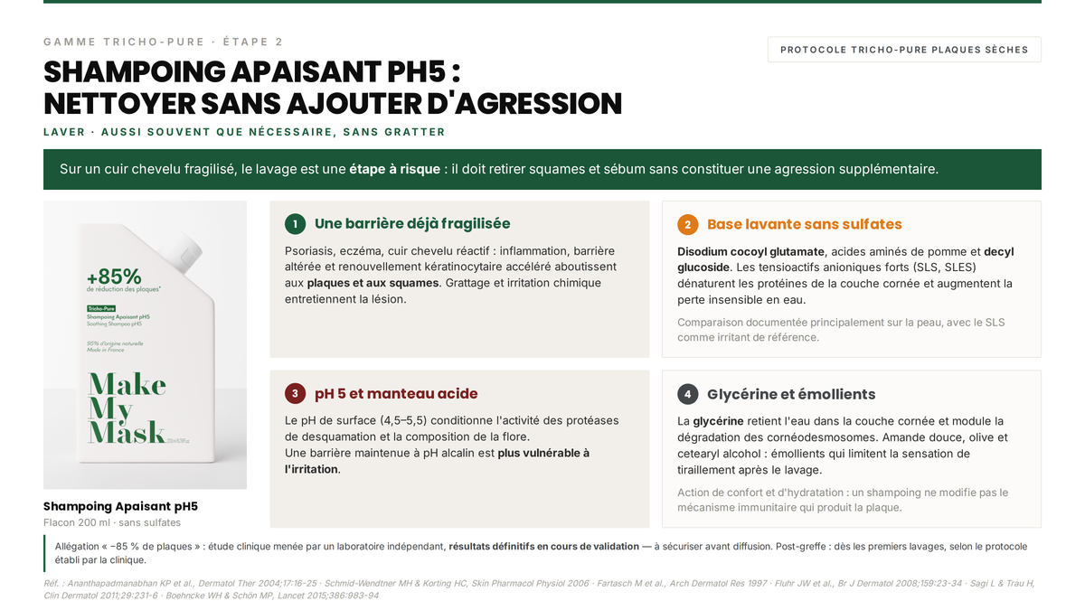 Avis
