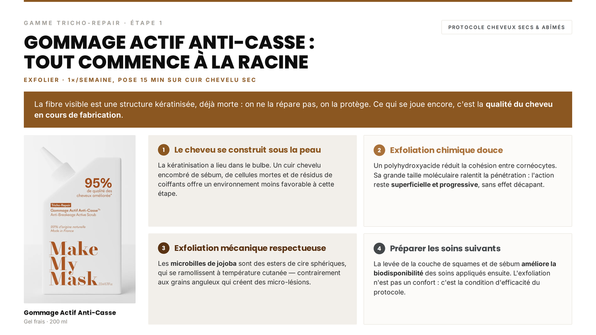 Avis