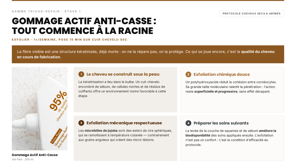 Avis