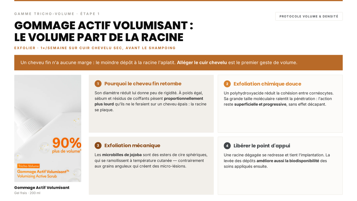 Avis