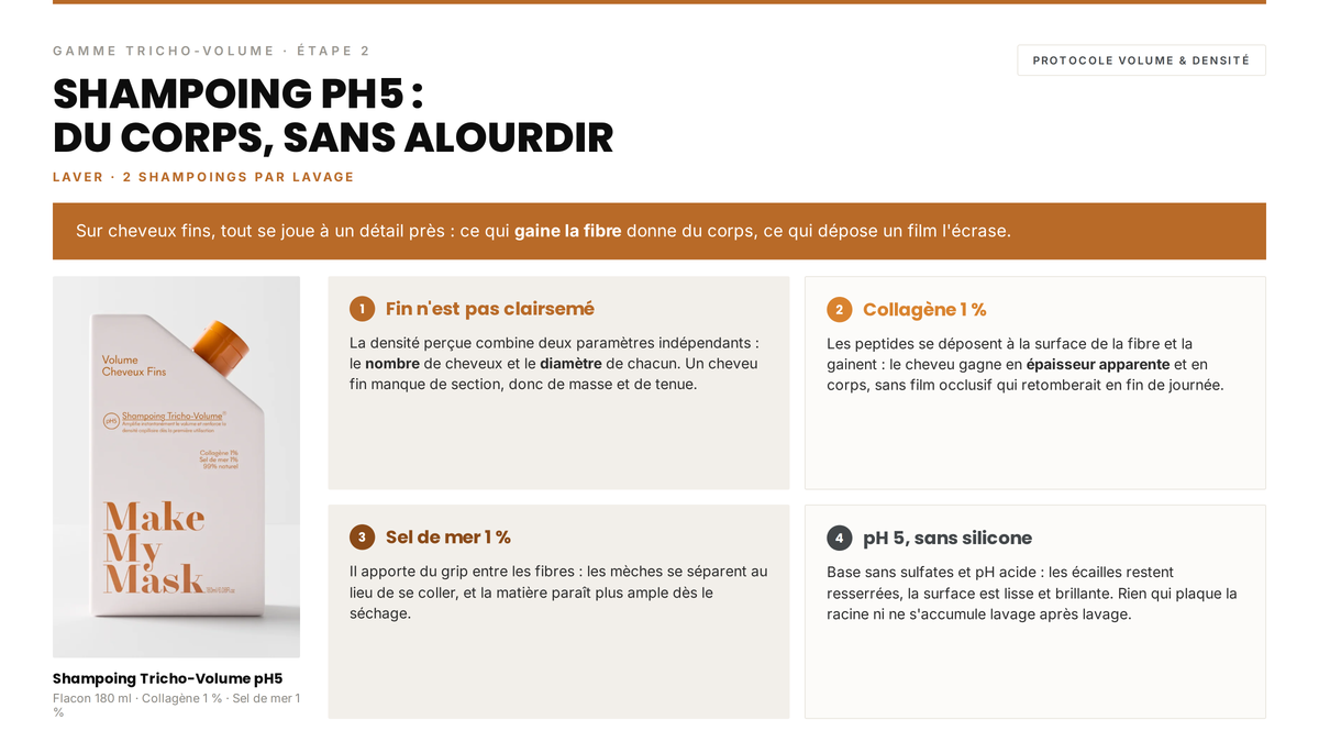 Avis