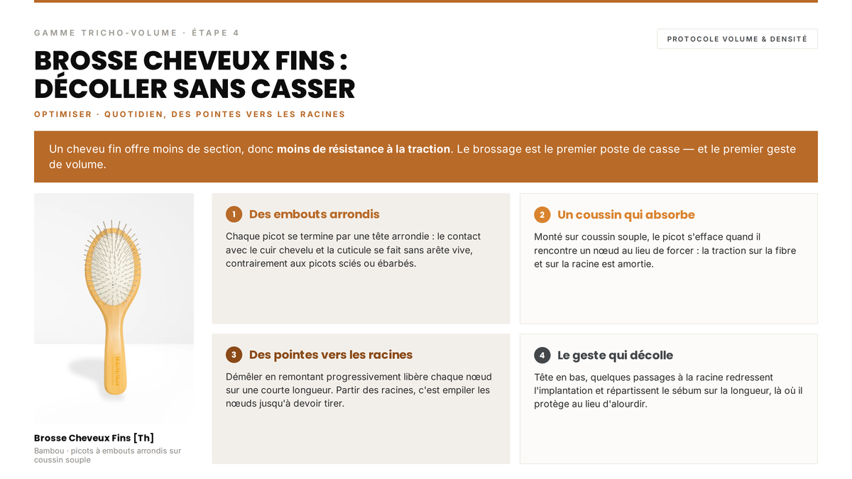 Avis